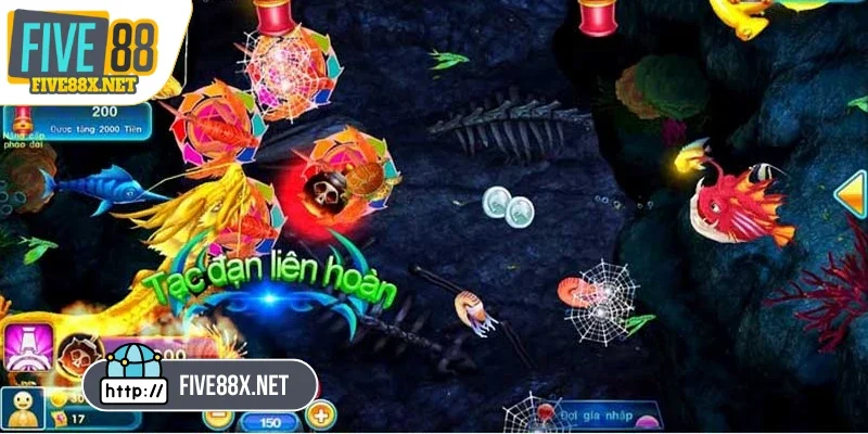 Kinh nghiệm săn cá Long Vương cực chuẩn từ cao thủ