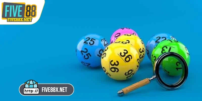 Sai lầm cần tránh khi áp dụng cách nuôi lô khung thời gian 10 ngày