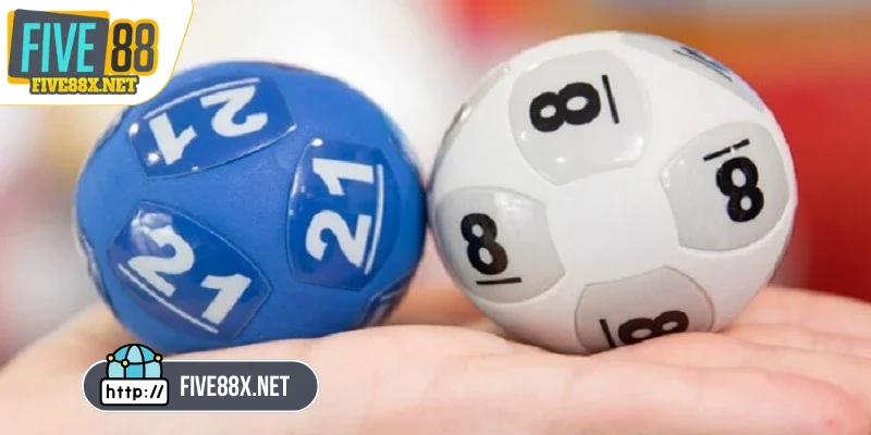 Vận dụng các cách nuôi lô khung 5 ngày hiệu quả, phù hợp