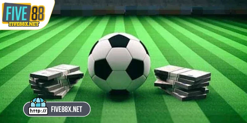 Chỉ nên đặt tiền vào những kèo mà bạn đã thật sự hiểu rõ