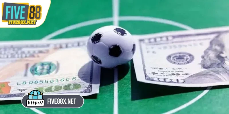 Chọn cửa có tỷ lệ cược quá cao một cách mù quáng khiến bạn dễ thua