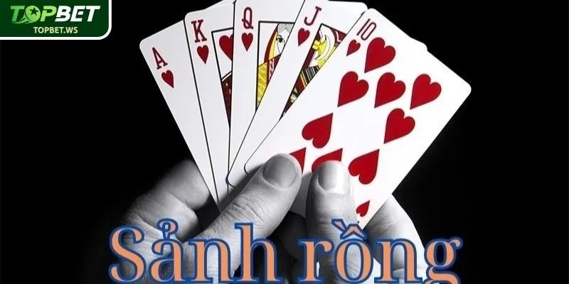 Hiểu rõ khái niệm và luật của Sảnh Rồng